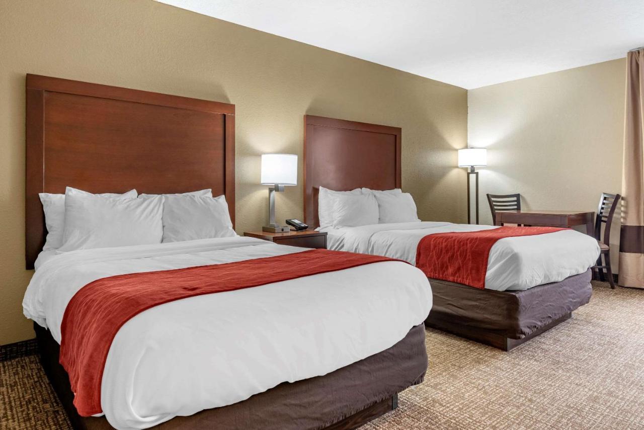 Comfort Inn & Suites Cincinnati Eastgate Kültér fotó